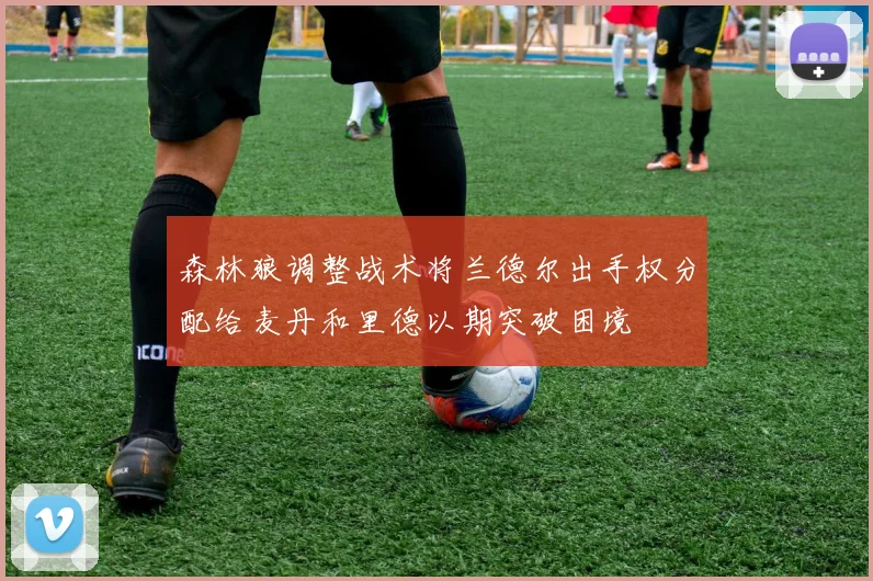 森林狼调整战术将兰德尔出手权分配给麦丹和里德以期突破困境