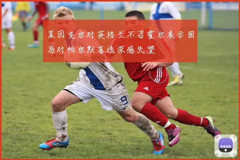 莱因克尔对英格兰不召霍尔表示困惑对帕尔默落选深感失望