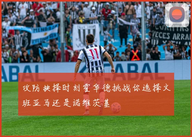 攻防抉择时刻霍华德挑战你选择文班亚马还是诺维茨基
